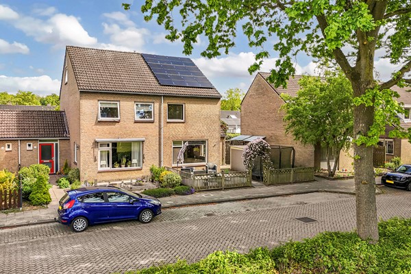 Foto Amazonestraat 19 Luttelgeest 12.jpg